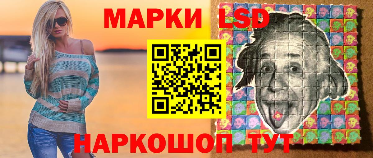 A PVP Кингисепп