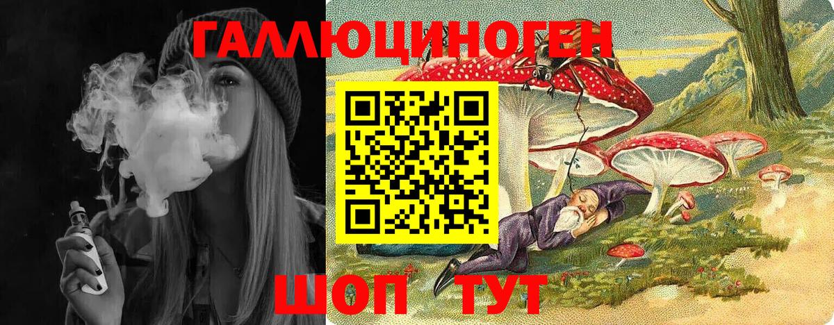 Псилоцибиновые грибы Cubensis Кингисепп